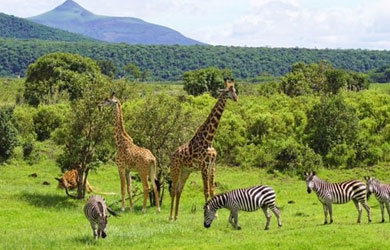 Arusha National Park