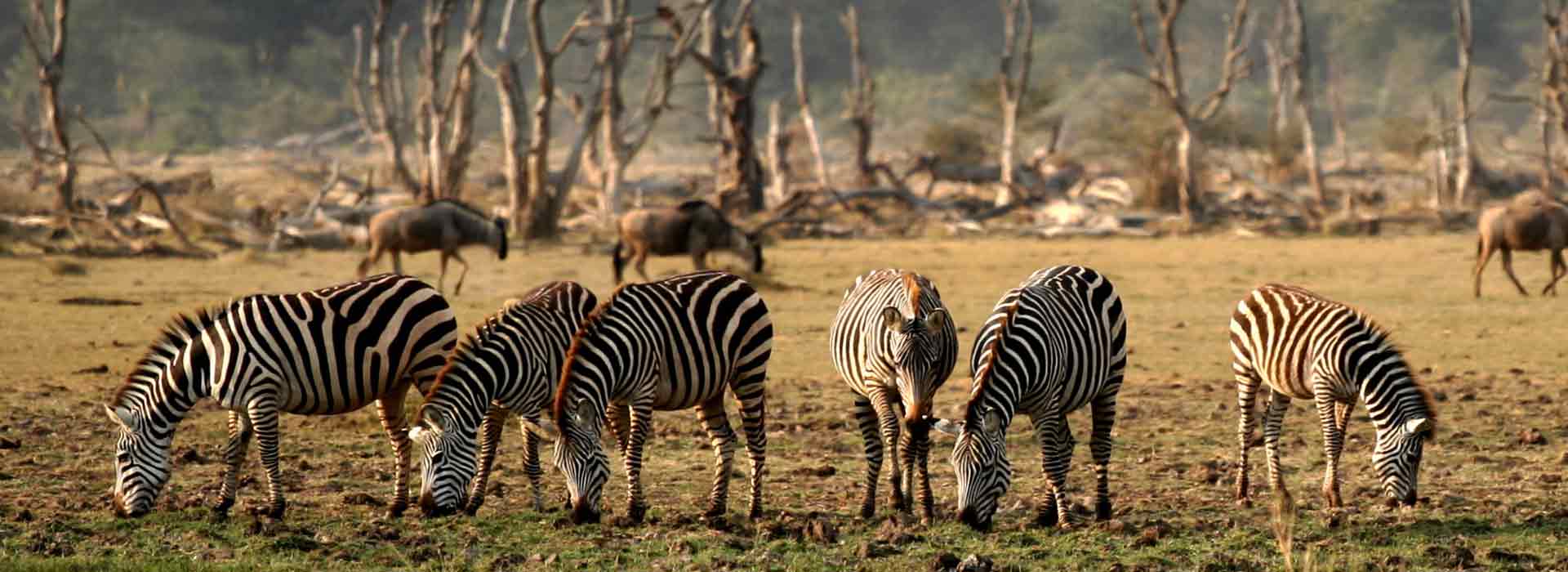 Lake Manyara National Park