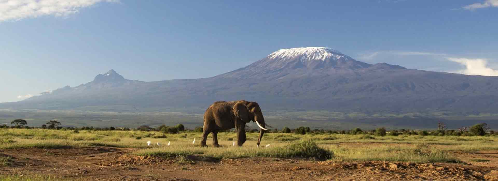 Mount Kilimanjaro National Park