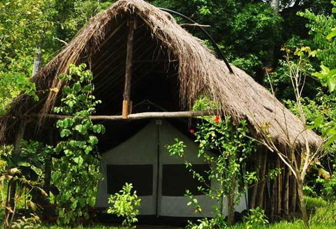 Udzungwa Mountain National Park