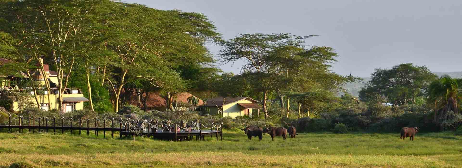 Hatari Lodge