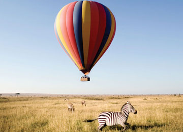 Hot Air Balloon Safari