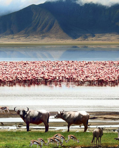 Lake Manyara National Park