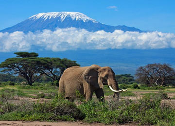 Mount Kilimanjaro National Park