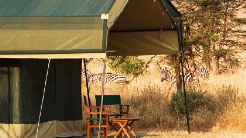 Tanzania Budget Camping Safari