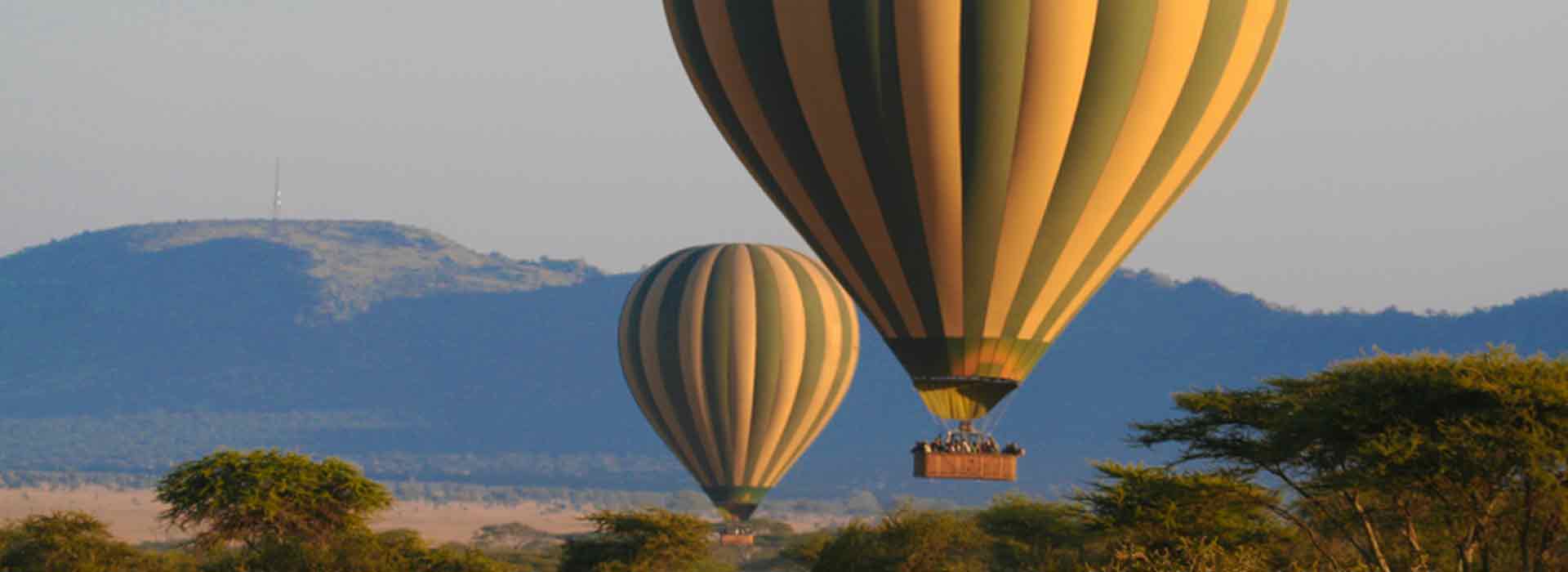 Hot Air Balloon Safari