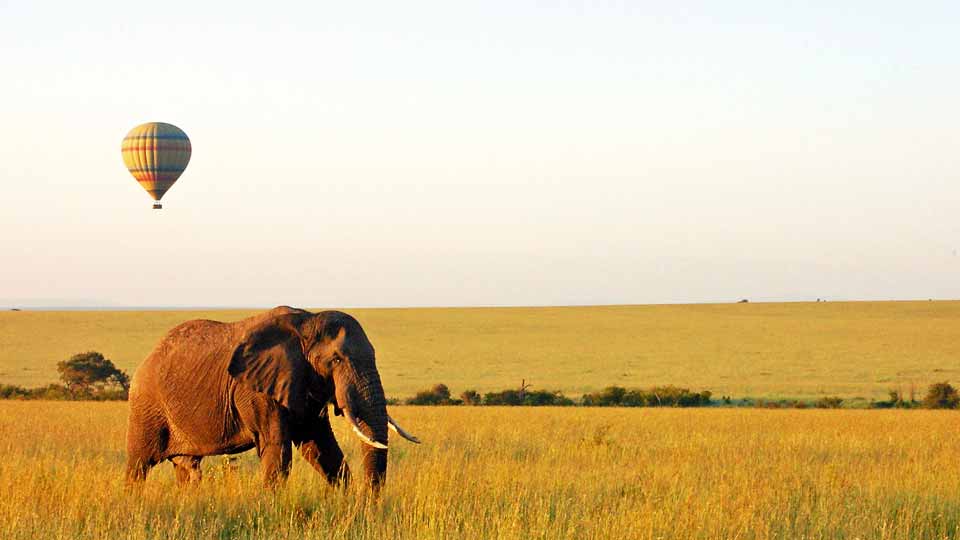 Hot Air Balloon Safari