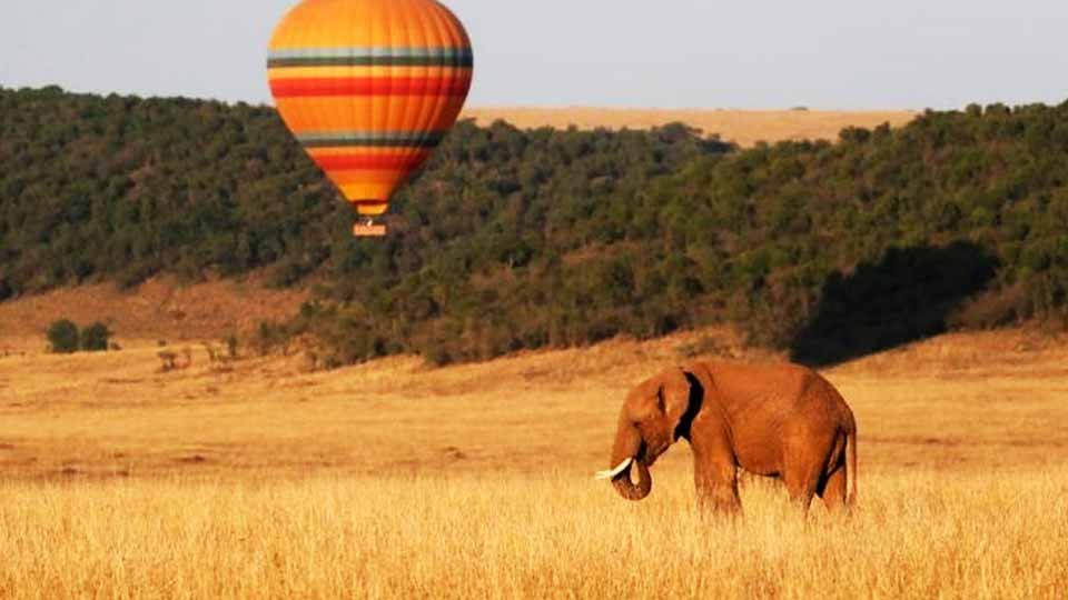 Hot Air Balloon Safari