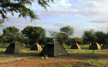 Tanzania Camping Safari