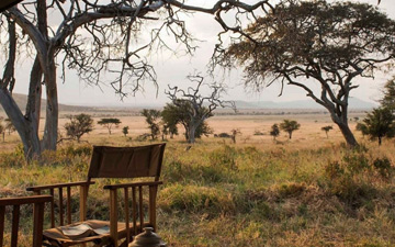 Tanzania Honeymoon Safari