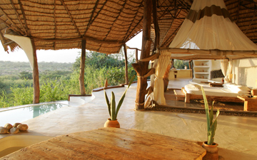 Tanzania Luxury Safari