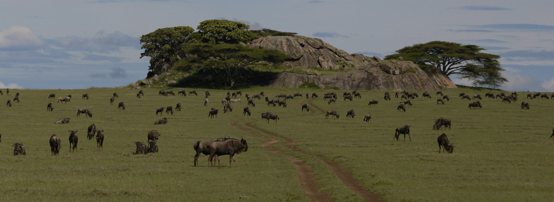 Serengeti National Park