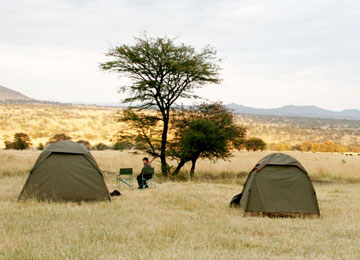 Tanzania Budget Camping Safari