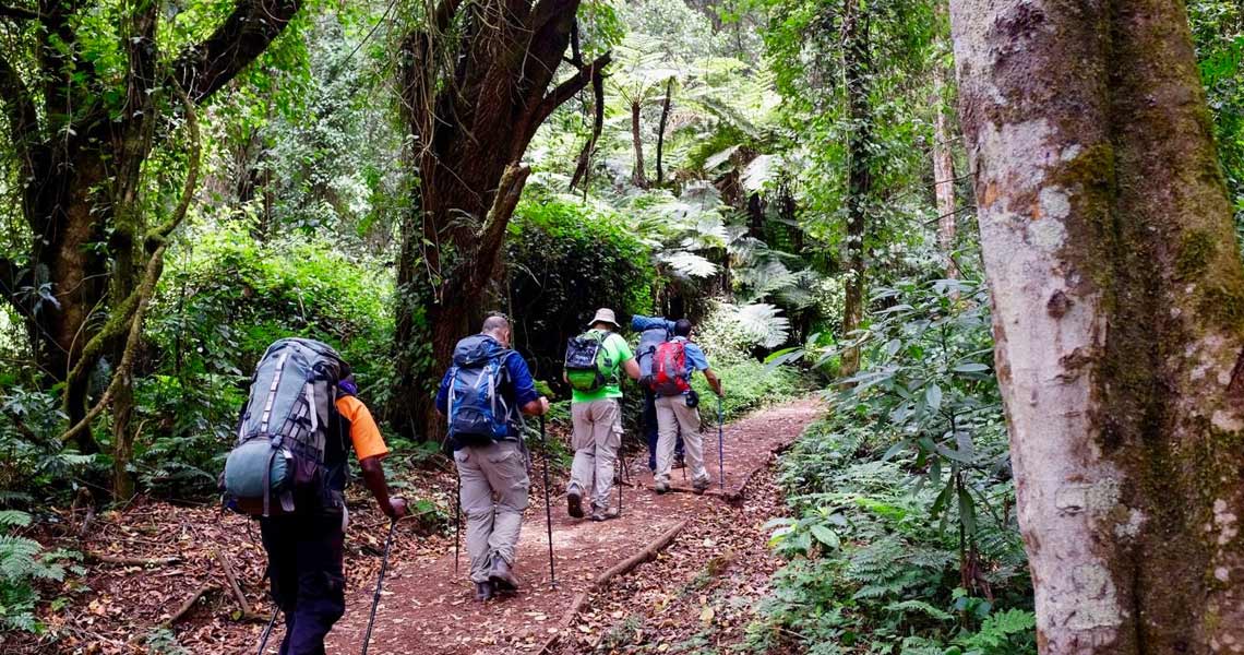 8 Days Machame Route